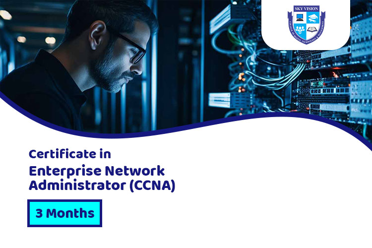 sky vision College Network Administrator (CCNA)